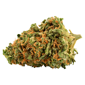 Palmetto - Platinum Cookies - Sativa - 3.5g