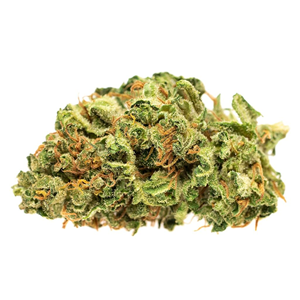 Good Supply - Jean Guy - Sativa - 28g